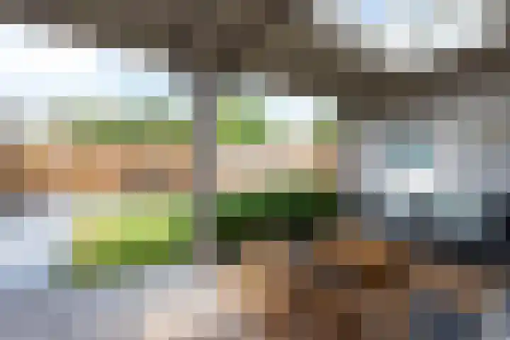 Rozetuin 11 Reeuwijk thumbnail 27