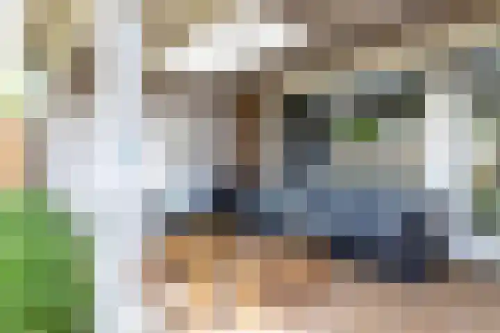Rozetuin 11 Reeuwijk thumbnail 28