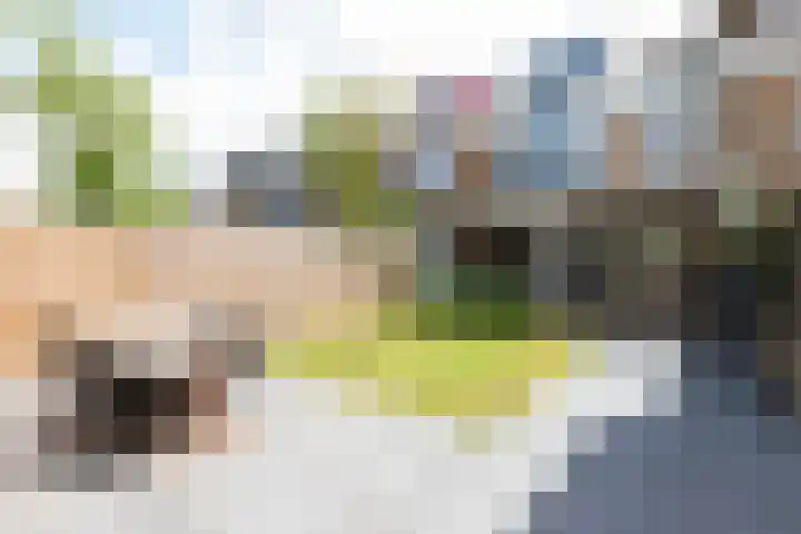 Rozetuin 11 Reeuwijk thumbnail 29