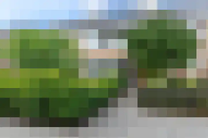 Rozetuin 11 Reeuwijk thumbnail 36