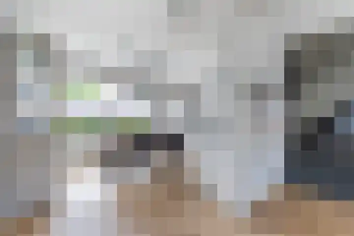 Rozetuin 11 Reeuwijk thumbnail 4