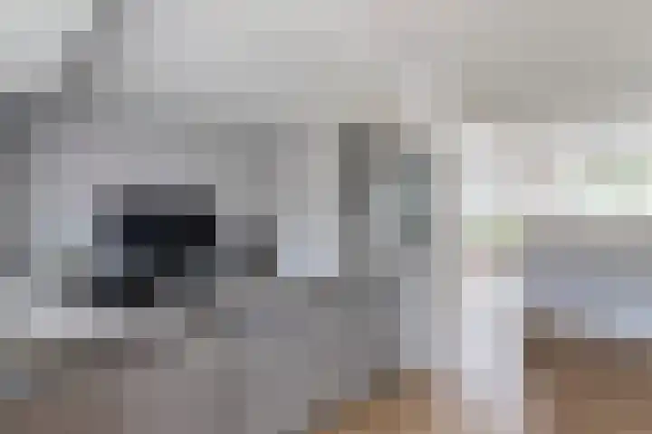 Rozetuin 11 Reeuwijk thumbnail 5