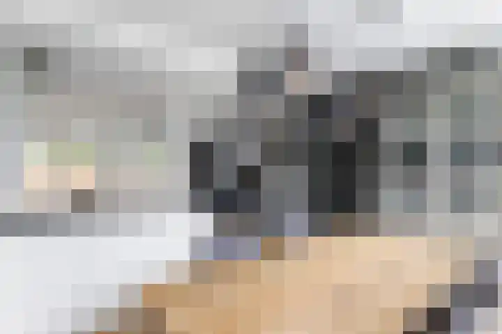 Rozetuin 11 Reeuwijk thumbnail 9