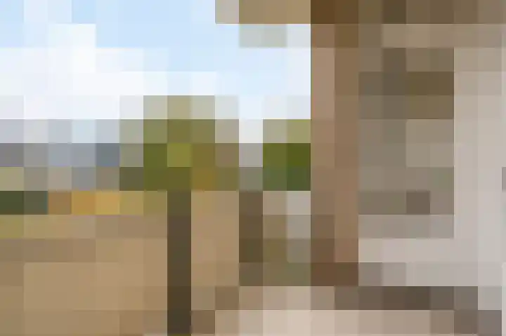 Rozeveldlaan 40 Wassenaar thumbnail 12