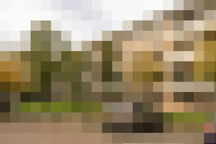 Rozeveldlaan 40 Wassenaar thumbnail 27