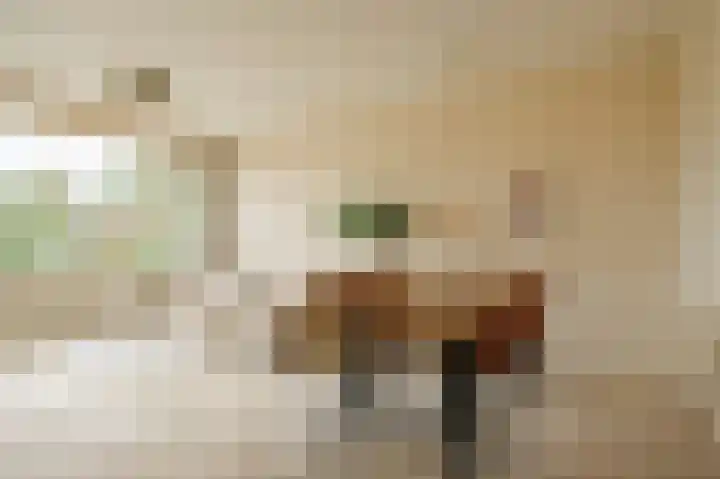 Rozeveldlaan 40 Wassenaar thumbnail 6