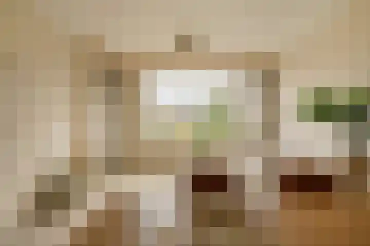 Rozeveldlaan 40 Wassenaar thumbnail 7