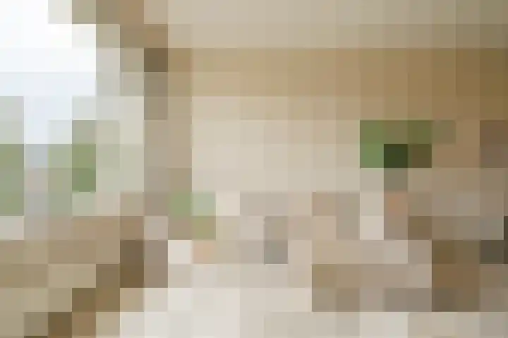 Rozeveldlaan 40 Wassenaar thumbnail 8