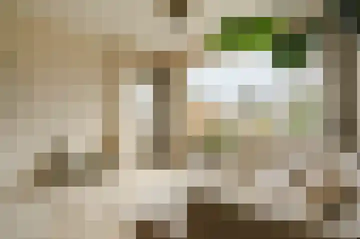 Rozeveldlaan 40 Wassenaar thumbnail 9