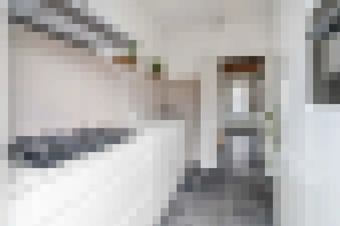 Rozeveldlaan 47 Wassenaar thumbnail 10