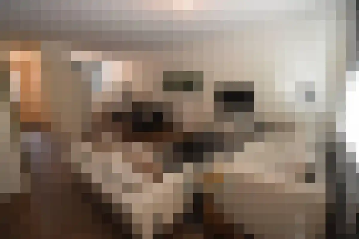 Ru Paré 13 Druten thumbnail 4