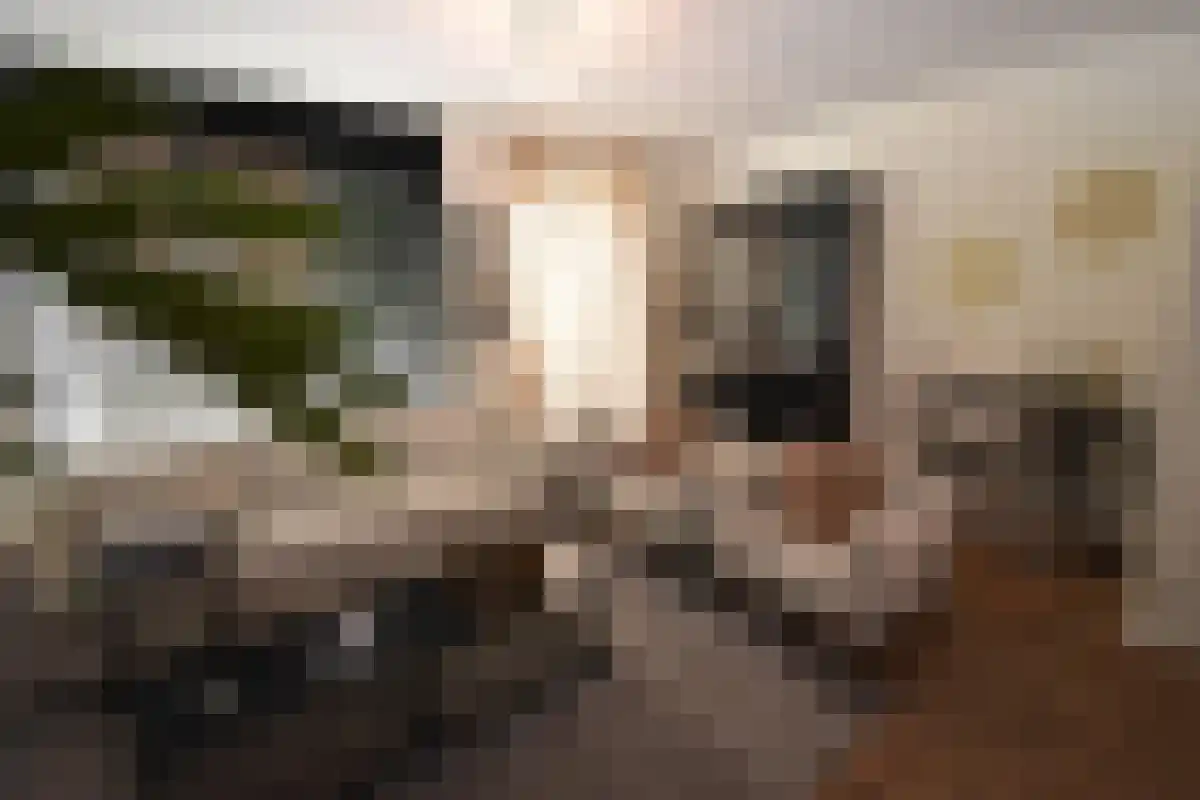 Ru Paré 13 Druten thumbnail 5