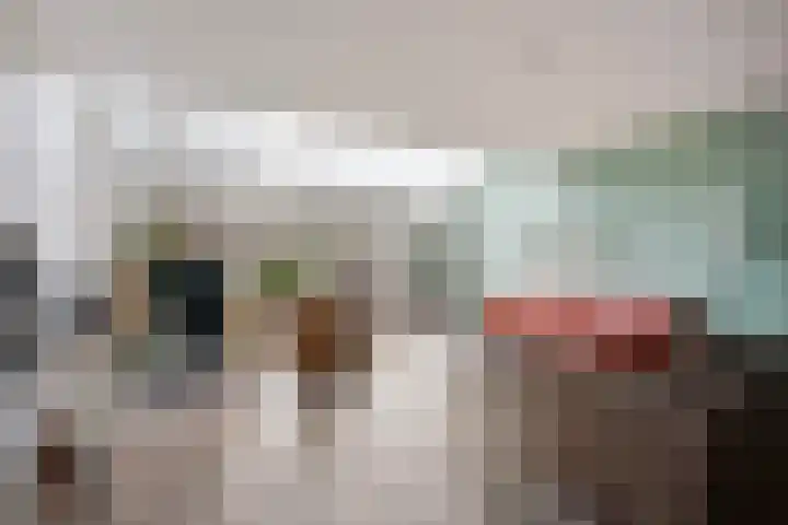 Ru Paréstraat 33 in Den Haag