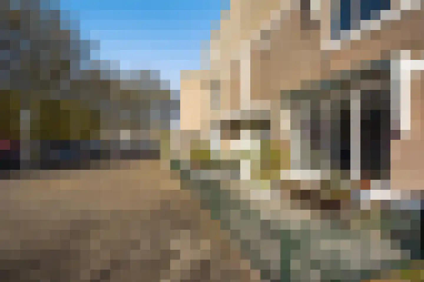 Ru Paréstraat 7 Den Haag thumbnail 6