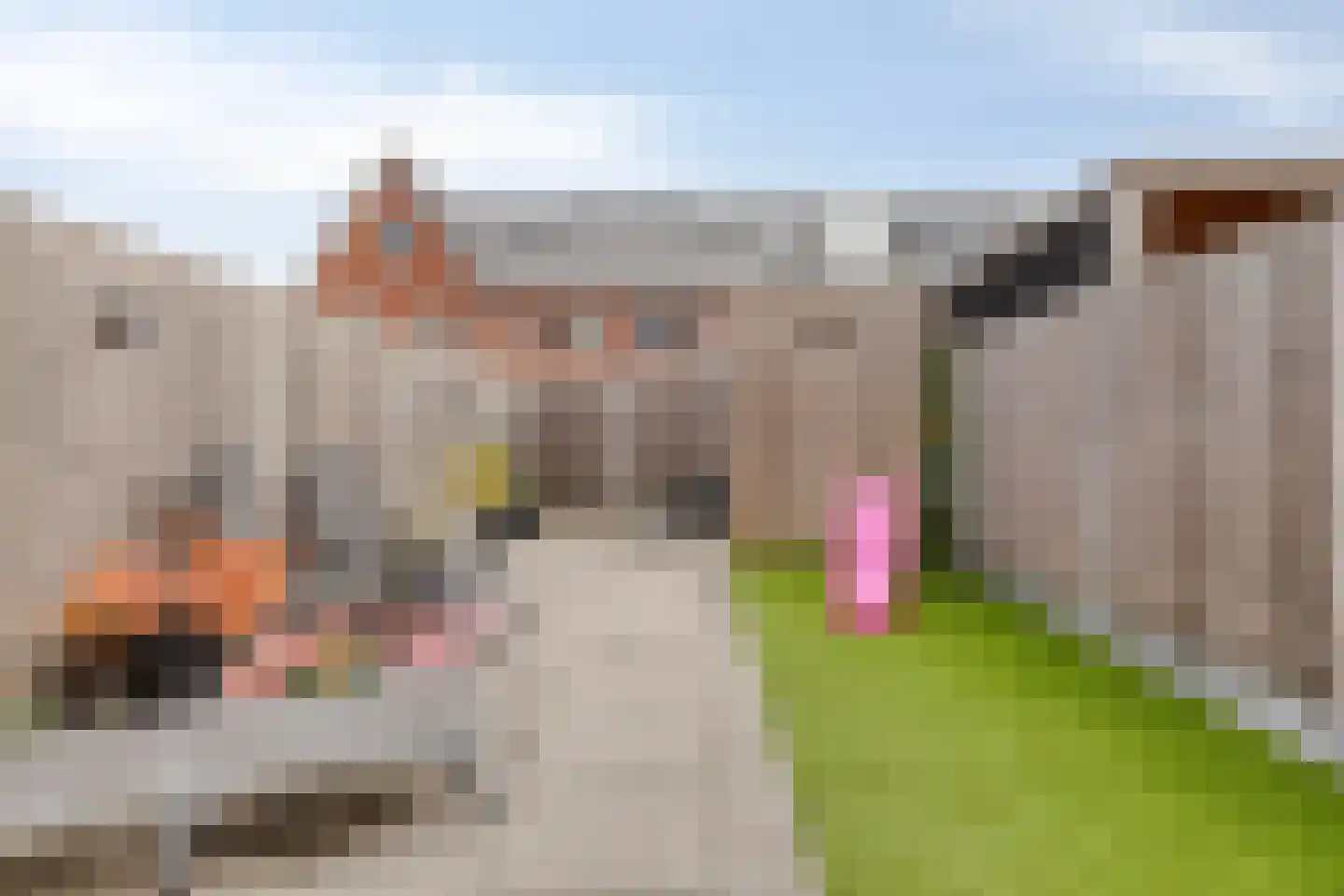 Rubensdreef 5 Oud-Beijerland thumbnail 47