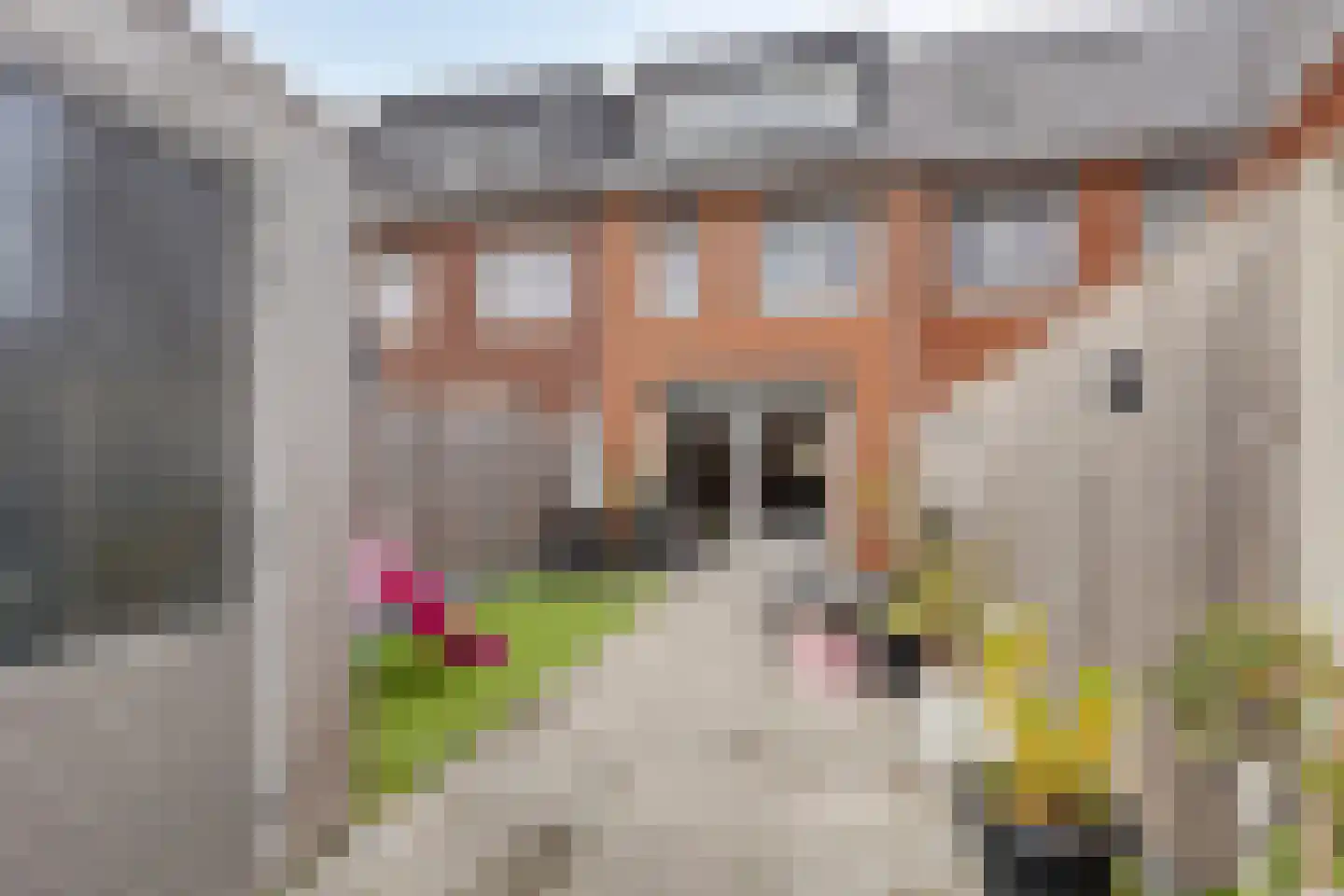 Rubensdreef 5 Oud-Beijerland thumbnail 5