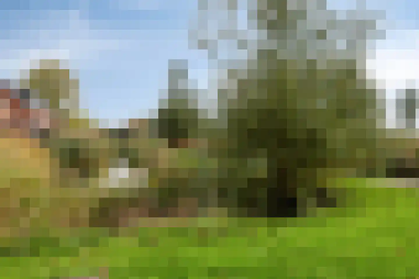 Rubensdreef 5 Oud-Beijerland thumbnail 51
