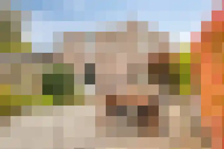 Rubenshof 39 Oosterhout thumbnail 4