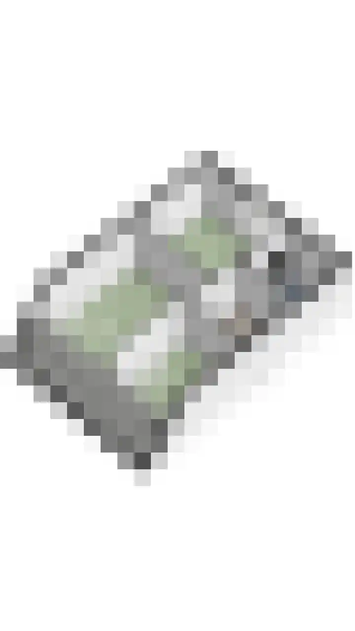 Rubenshof 77 Oosterhout thumbnail 49
