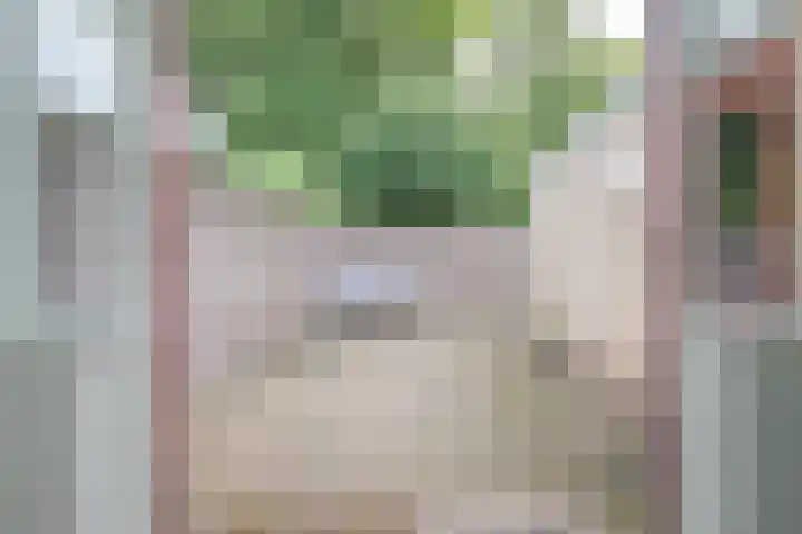 Rubenslaan 11 Woudenberg thumbnail 24