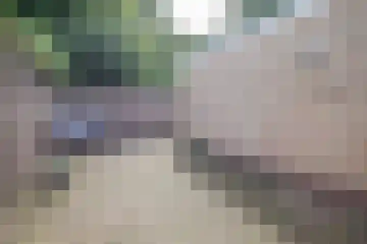 Rubenslaan 11 Woudenberg thumbnail 27