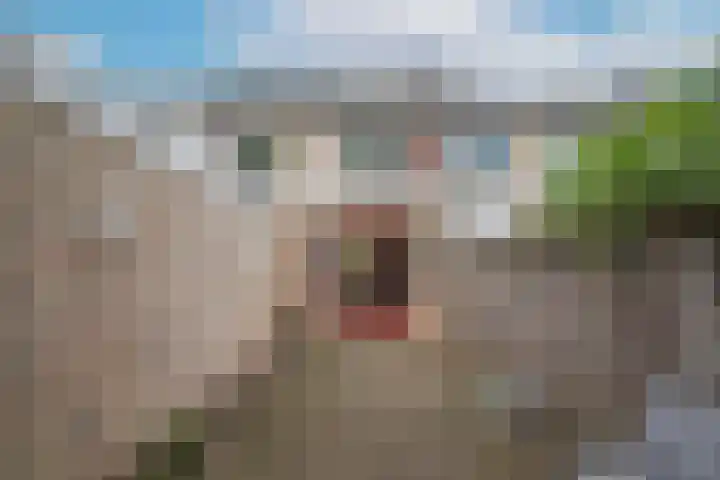 Rubenslaan 11 Woudenberg thumbnail 30