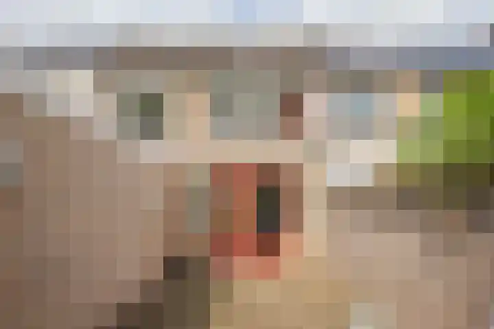 Rubenslaan 11 Woudenberg thumbnail 31