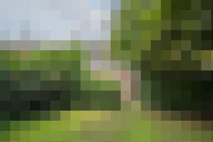 Rubenslaan 11 Woudenberg thumbnail 39
