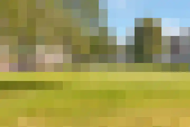 Rubenslaan 110 Soest thumbnail 22