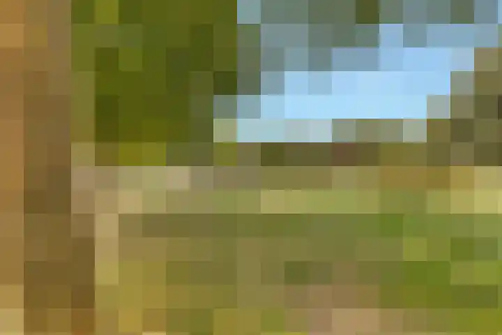 Rubenslaan 110 Soest thumbnail 23