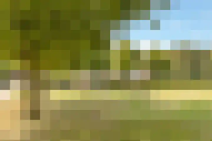 Rubenslaan 110 Soest thumbnail 24