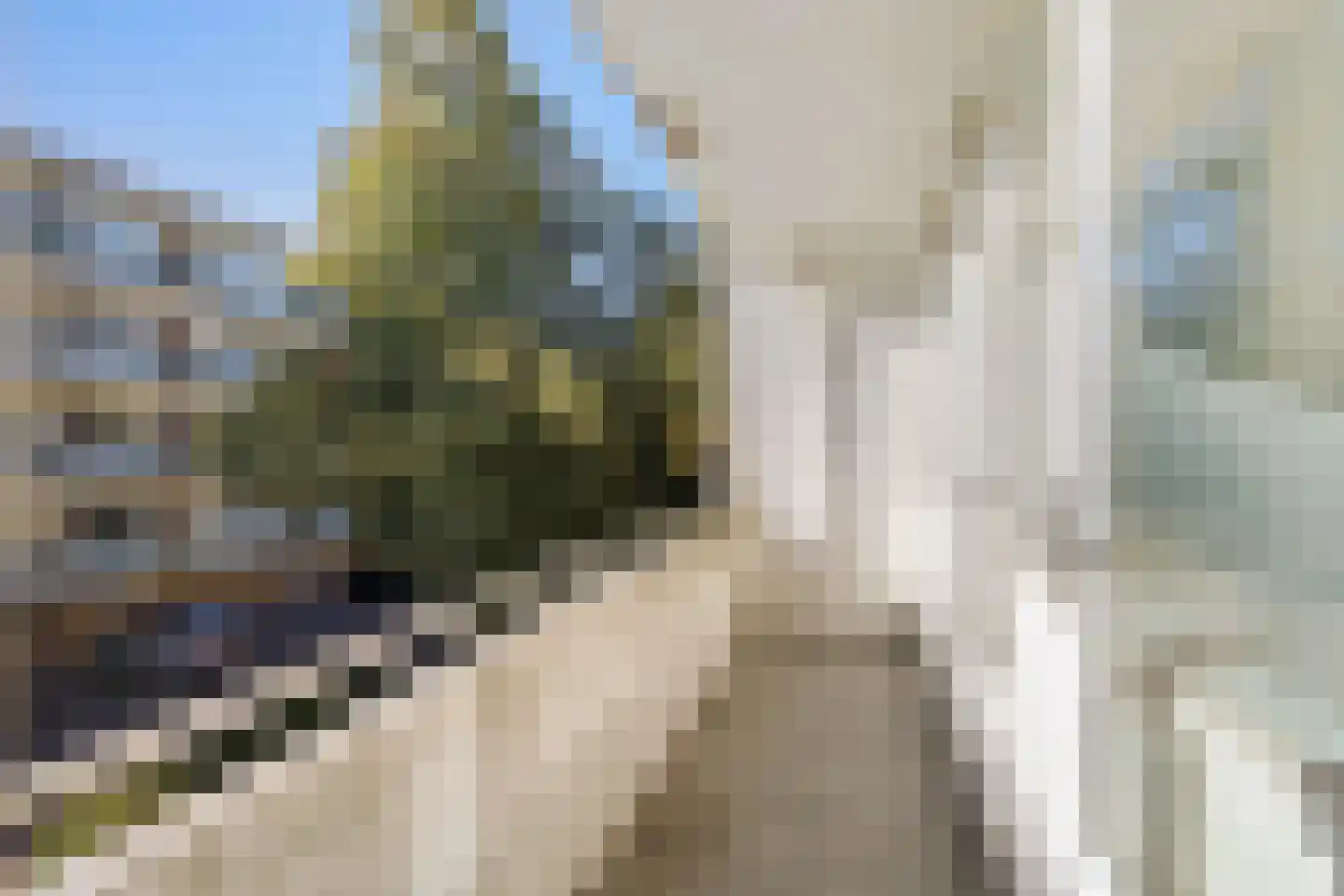 Rubenslaan 120 Soest thumbnail 14