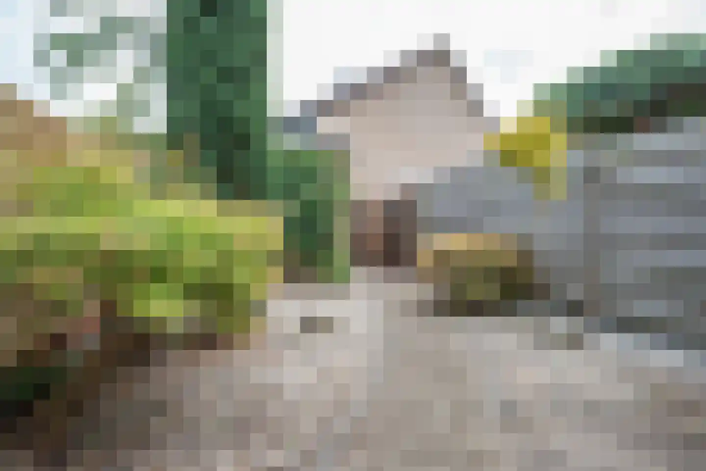 Rubenslaan 121 Bergschenhoek thumbnail 29