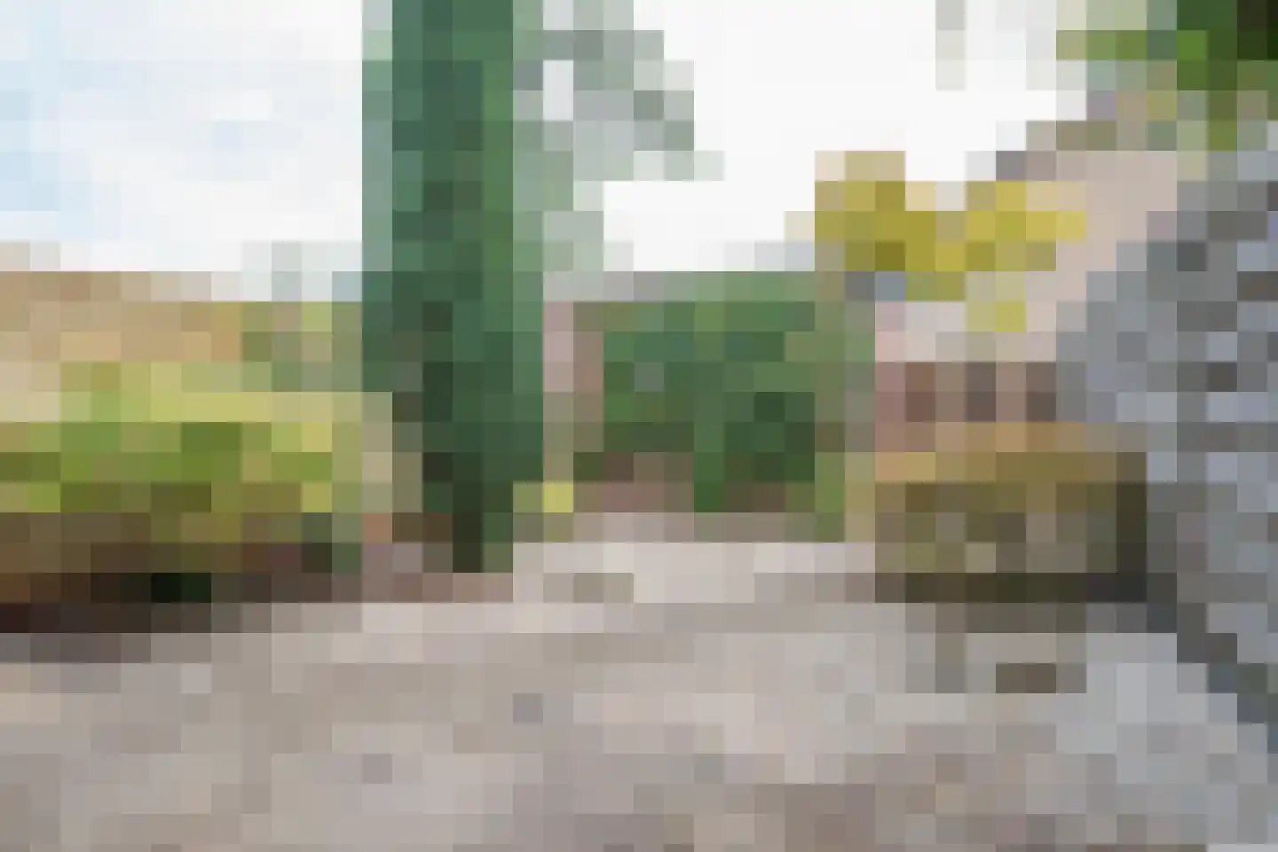 Rubenslaan 121 Bergschenhoek thumbnail 30