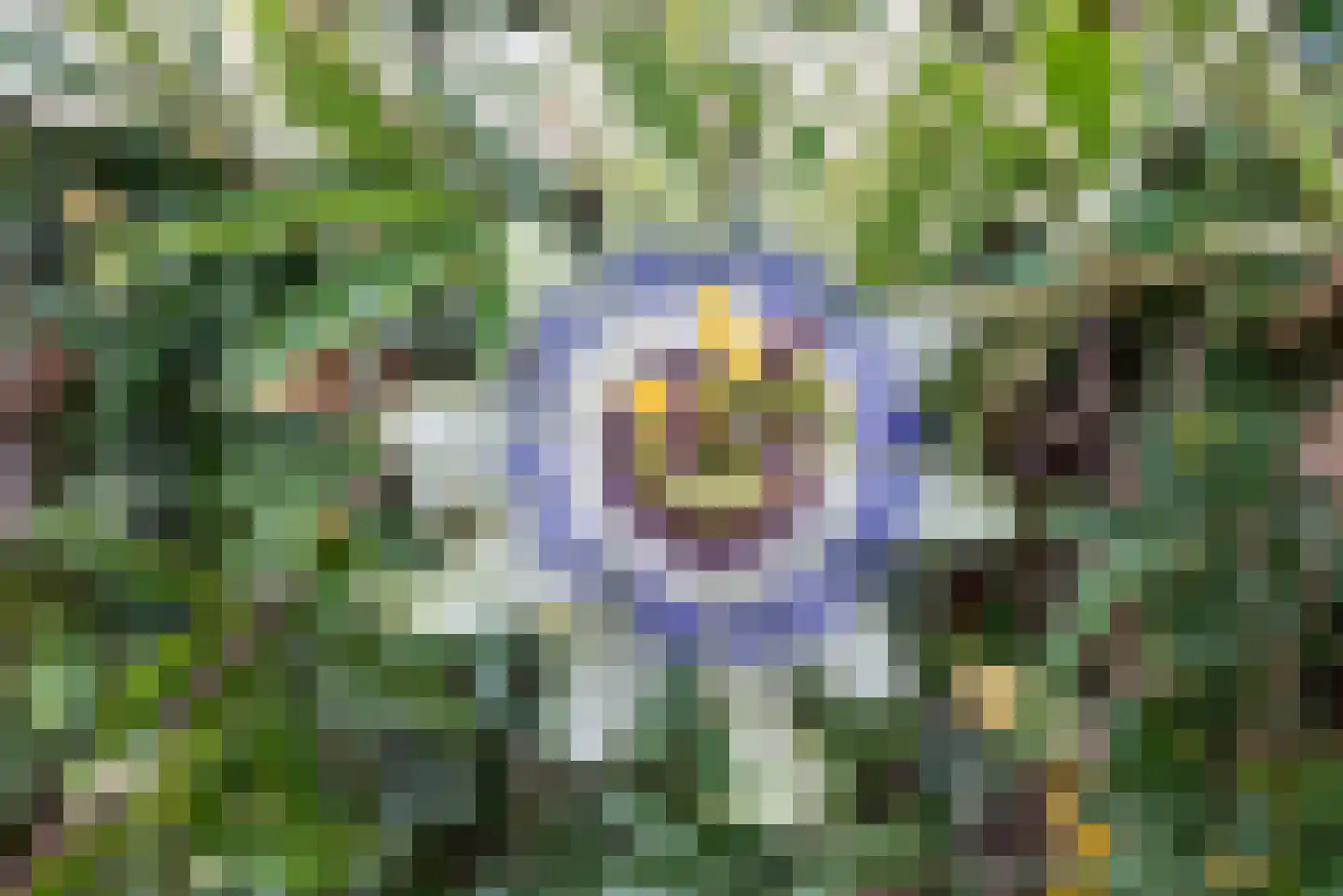Rubenslaan 121 Bergschenhoek thumbnail 31
