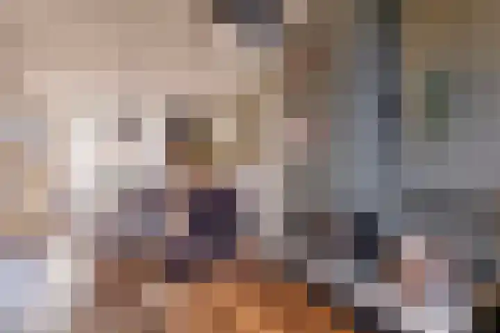Rubenslaan 13 Krimpen aan den IJssel thumbnail 11