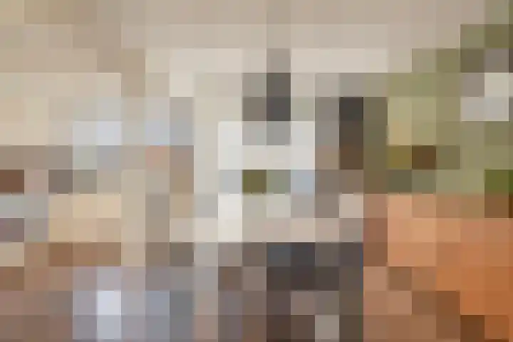 Rubenslaan 13 Krimpen aan den IJssel thumbnail 12