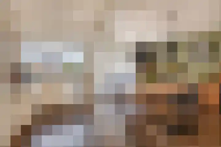 Rubenslaan 13 Krimpen aan den IJssel thumbnail 13
