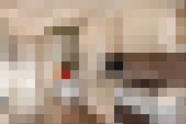 Rubenslaan 13 Krimpen aan den IJssel thumbnail 17