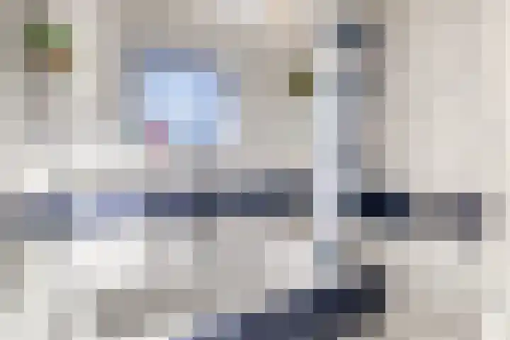 Rubenslaan 13 Krimpen aan den IJssel thumbnail 24