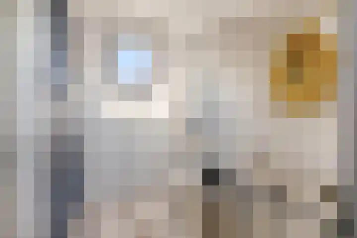 Rubenslaan 13 Krimpen aan den IJssel thumbnail 31