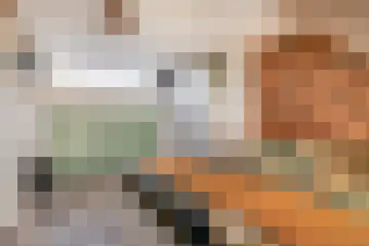Rubenslaan 13 Krimpen aan den IJssel thumbnail 33