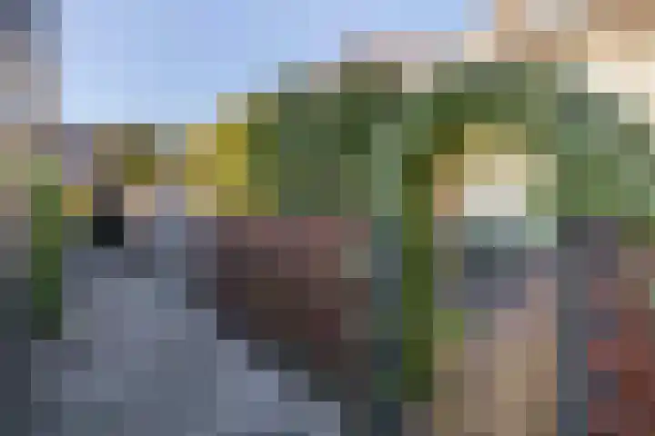 Rubenslaan 13 Krimpen aan den IJssel thumbnail 38