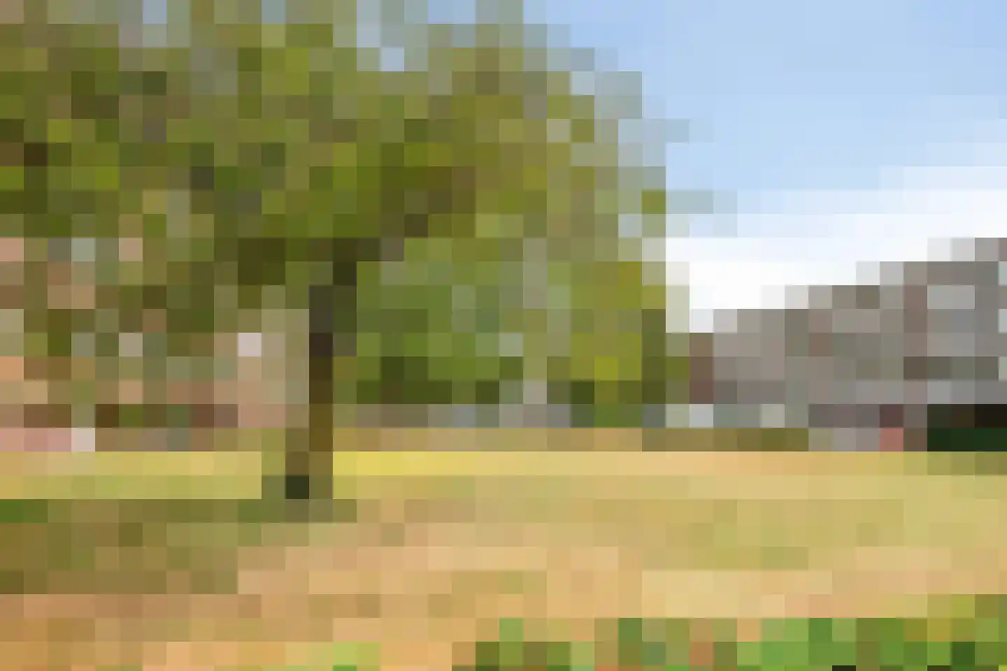 Rubenslaan 140 Soest thumbnail 21