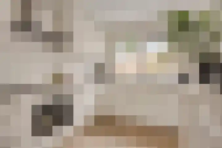 Rubenslaan 15 Bergschenhoek thumbnail 10