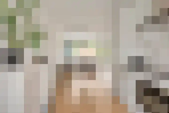 Rubenslaan 15 Bergschenhoek thumbnail 11