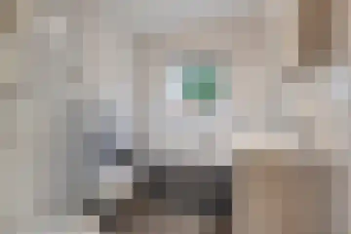Rubenslaan 15 Bergschenhoek thumbnail 21