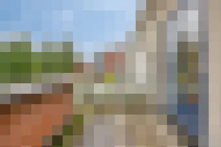 Rubenslaan 15 Bergschenhoek thumbnail 29