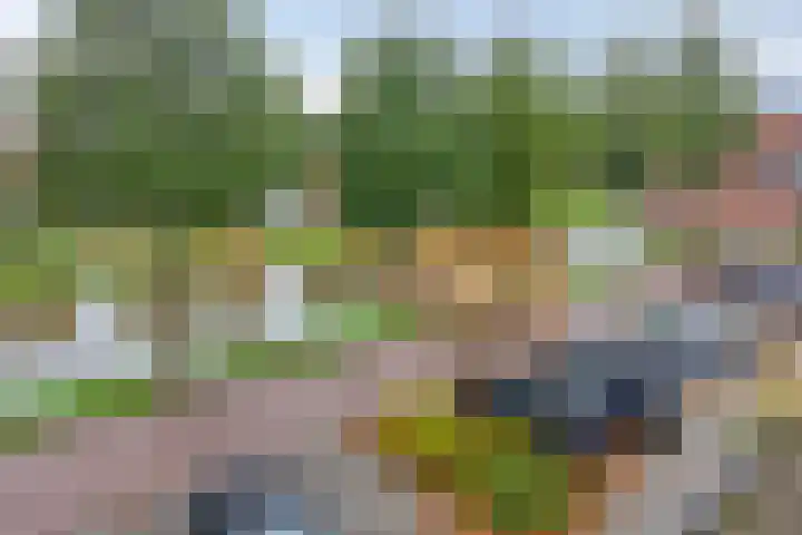 Rubenslaan 15 Bergschenhoek thumbnail 31