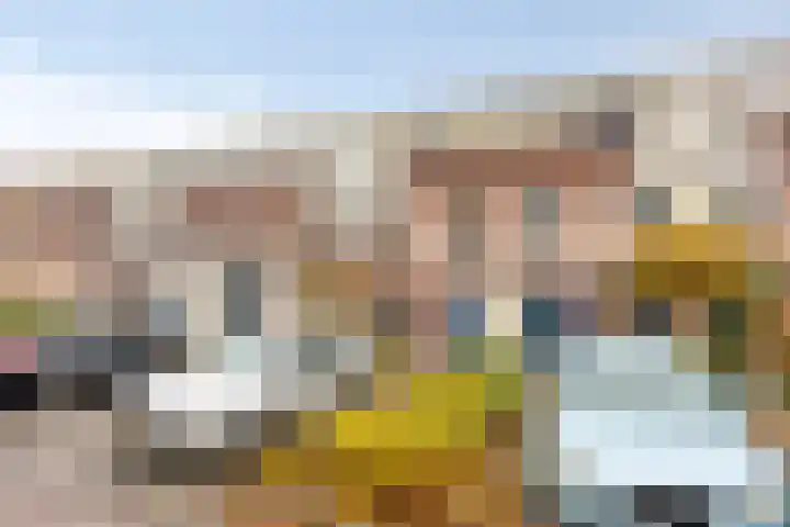 Rubenslaan 15 Bergschenhoek thumbnail 4